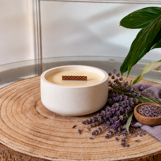 Lavanda Silvestre
