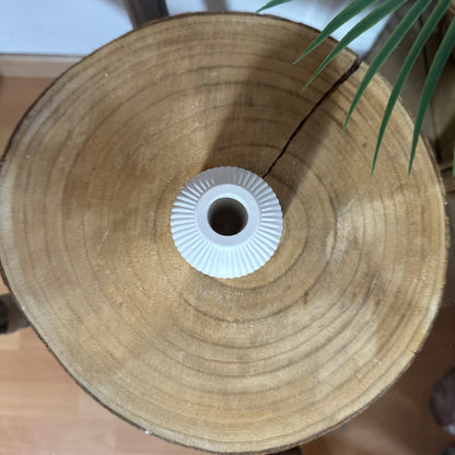 Recipiente para Ambientador Mikado