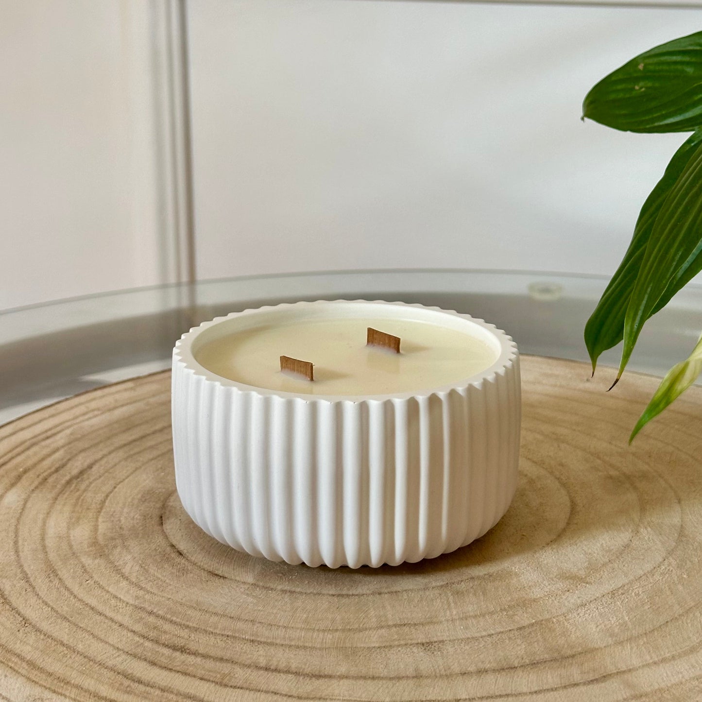 Creatividad y Concentración