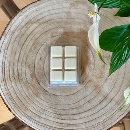 Wax Melts - Limón y Frambuesa